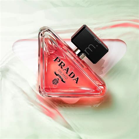 prada paradoxe kadın parfüm yorum|Prada paradoxe reviews.